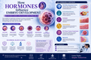 How Hormones Influence Embryo Development: A Student's Guide to the Science Behind New Life