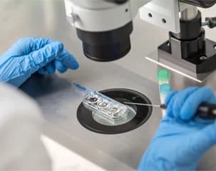 Fellowship in clinical ART